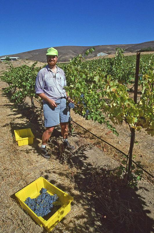 1996-10 Harvest at Tapteil 06.jpg